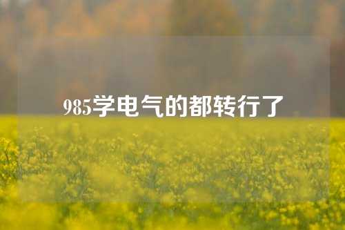 985学电气的都转行了