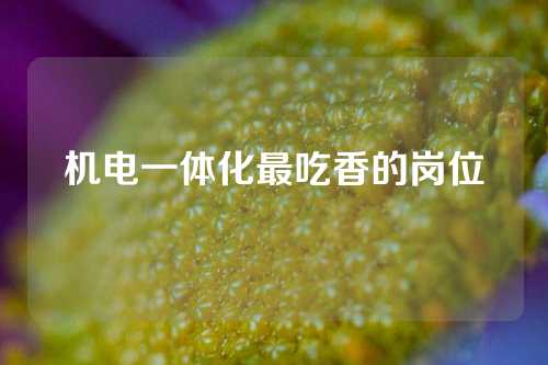 机电一体化最吃香的岗位