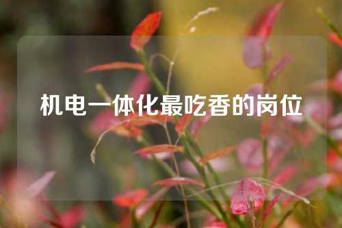 机电一体化最吃香的岗位