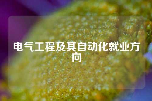 电气工程及其自动化就业方向