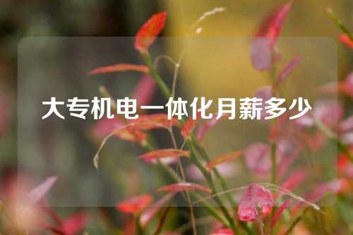 大专机电一体化月薪多少