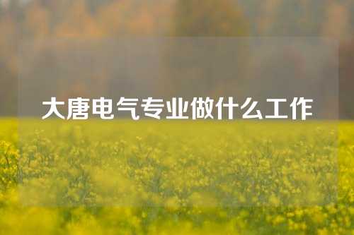 大唐电气专业做什么工作