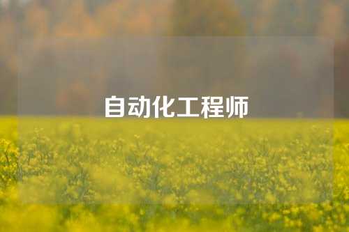 自动化工程师