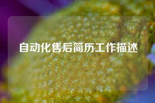 自动化售后简历工作描述