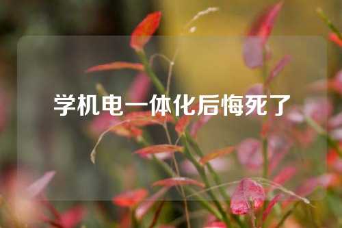 学机电一体化后悔死了
