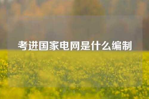 考进国家电网是什么编制