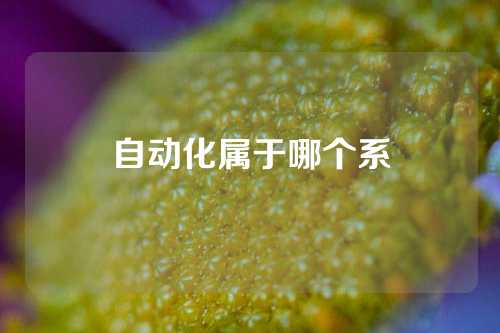 自动化属于哪个系