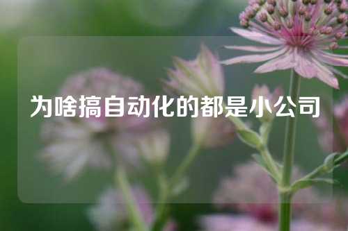 为啥搞自动化的都是小公司