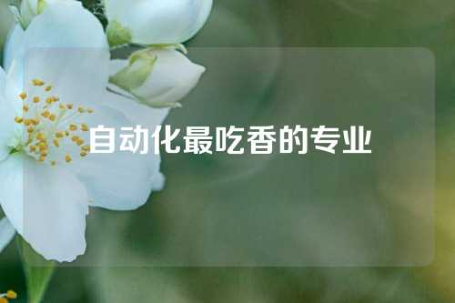 自动化最吃香的专业