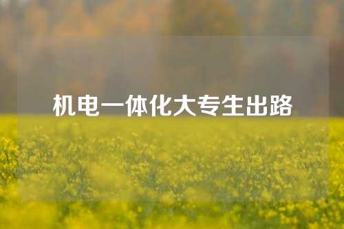机电一体化大专生出路