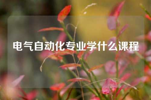 电气自动化专业学什么课程