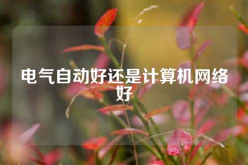 电气自动好还是计算机网络好