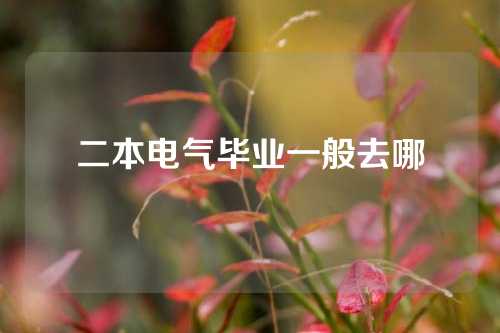 二本电气毕业一般去哪