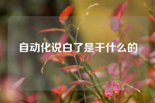 自动化说白了是干什么的
