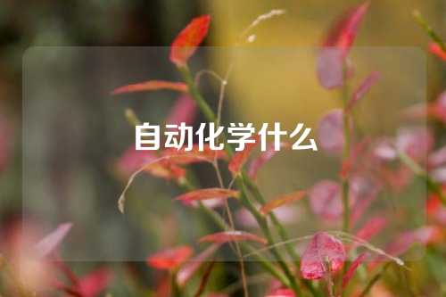 自动化学什么