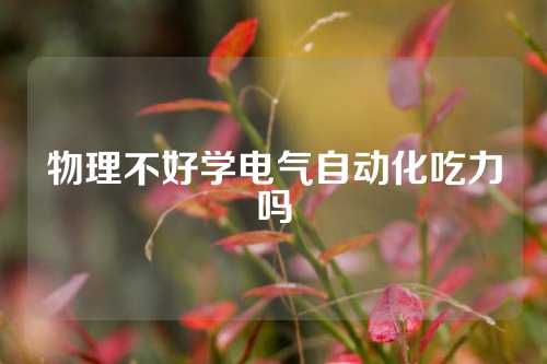 物理不好学电气自动化吃力吗