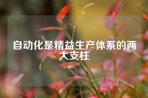 自动化是精益生产体系的两大支柱