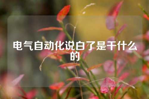 电气自动化说白了是干什么的
