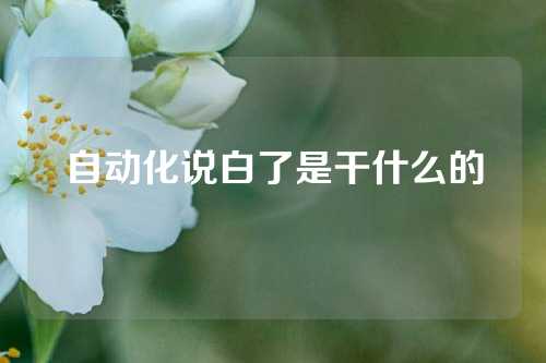 自动化说白了是干什么的