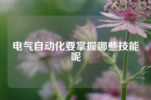 电气自动化要掌握哪些技能呢