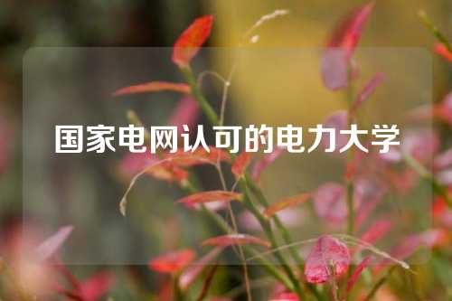 国家电网认可的电力大学
