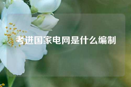 考进国家电网是什么编制