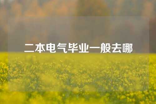 二本电气毕业一般去哪