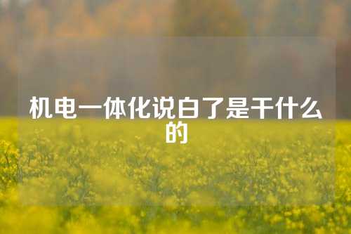 机电一体化说白了是干什么的