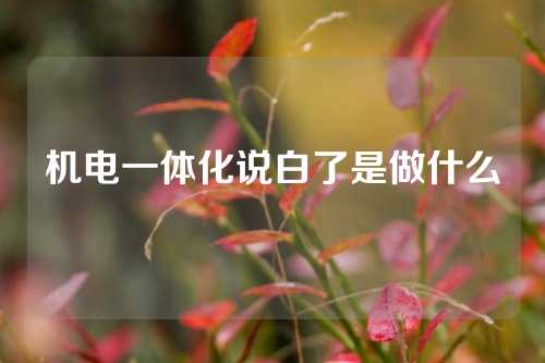 机电一体化说白了是做什么