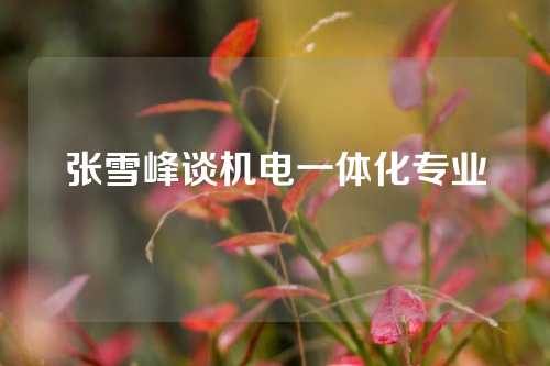 张雪峰谈机电一体化专业