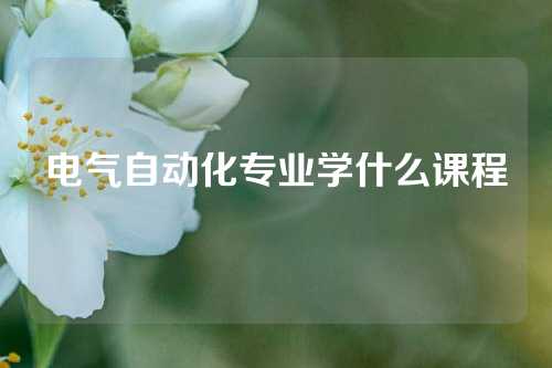 电气自动化专业学什么课程