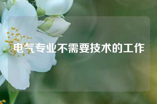 电气专业不需要技术的工作