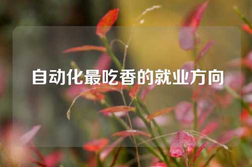 自动化最吃香的就业方向
