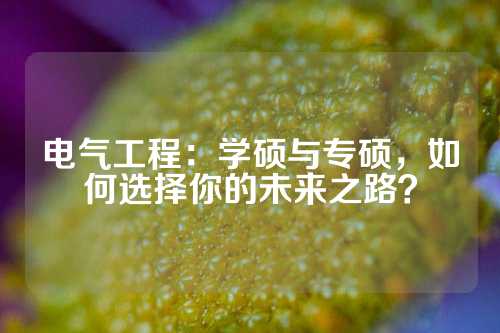电气工程：学硕与专硕，如何选择你的未来之路？