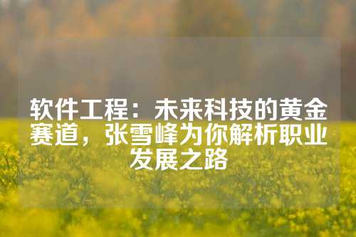 软件工程：未来科技的黄金赛道，张雪峰为你解析职业发展之路