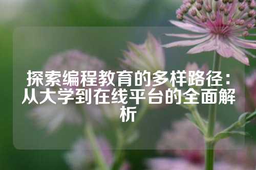 探索编程教育的多样路径：从大学到在线平台的全面解析