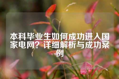 本科毕业生如何成功进入国家电网？详细解析与成功案例