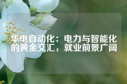 华电自动化：电力与智能化的黄金交汇，就业前景广阔