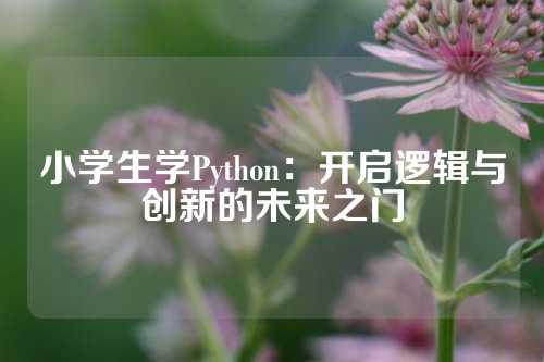 小学生学Python：开启逻辑与创新的未来之门