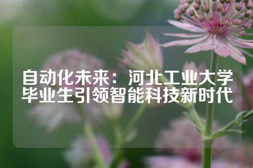 自动化未来：河北工业大学毕业生引领智能科技新时代