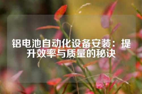 铝电池自动化设备安装：提升效率与质量的秘诀
