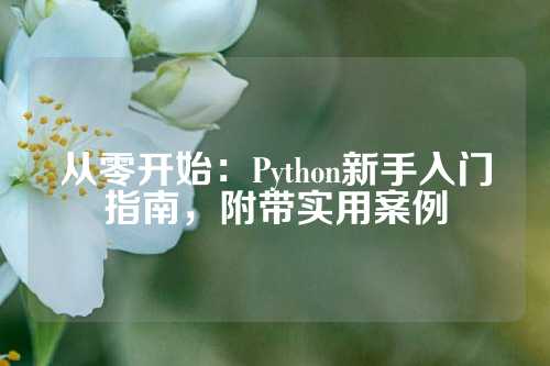 从零开始：Python新手入门指南，附带实用案例