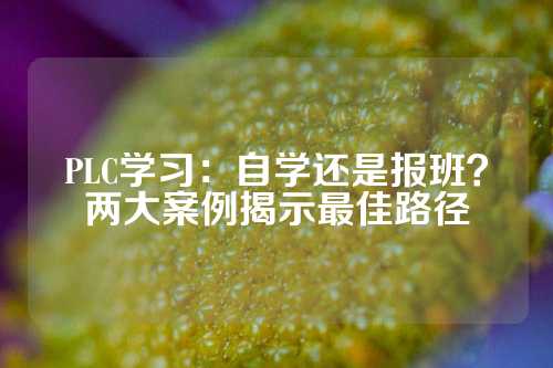 PLC学习：自学还是报班？两大案例揭示最佳路径