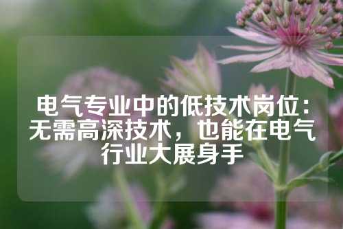 电气专业中的低技术岗位：无需高深技术，也能在电气行业大展身手