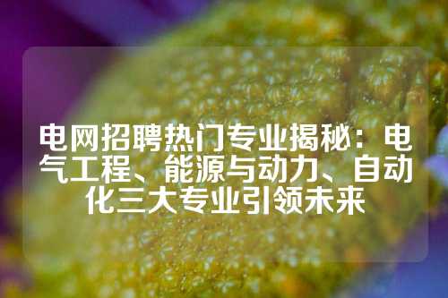 电网招聘热门专业揭秘：电气工程、能源与动力、自动化三大专业引领未来