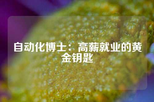 自动化博士：高薪就业的黄金钥匙