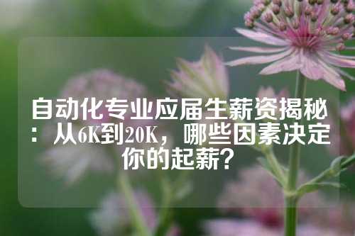 自动化专业应届生薪资揭秘：从6K到20K，哪些因素决定你的起薪？
