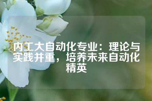 内工大自动化专业：理论与实践并重，培养未来自动化精英