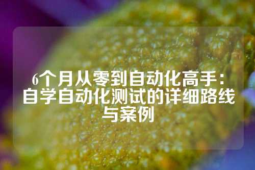 6个月从零到自动化高手：自学自动化测试的详细路线与案例