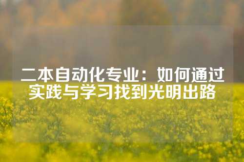 二本自动化专业：如何通过实践与学习找到光明出路